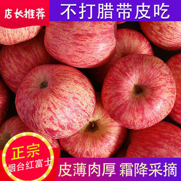 山东苹果红富士苹果山东苹果产地红富士苹果常年供应