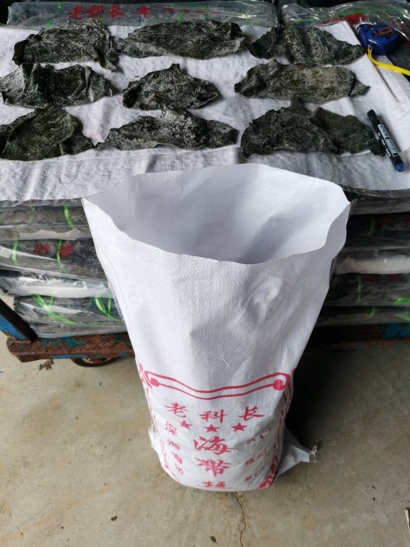 半干20公分海带头：实惠好吃肉感足，1：3泡发