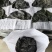 半干20公分海带头:实惠好吃肉感足,1:3泡发