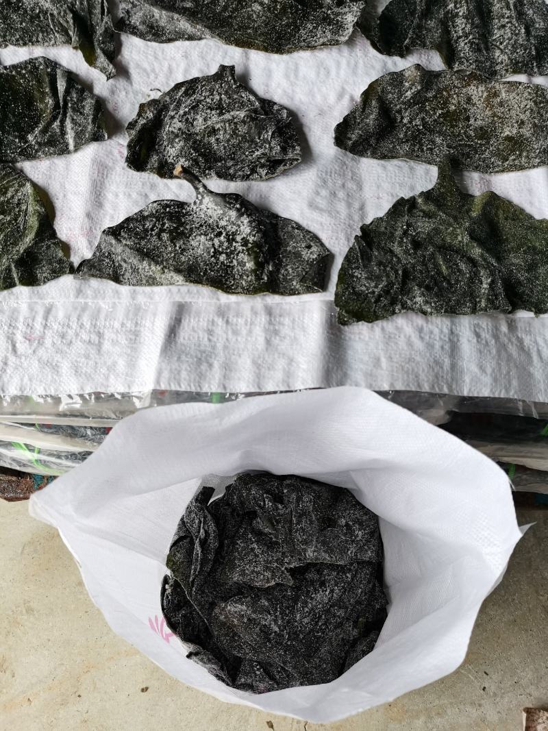 半干20公分海带头：实惠好吃肉感足，1：3泡发