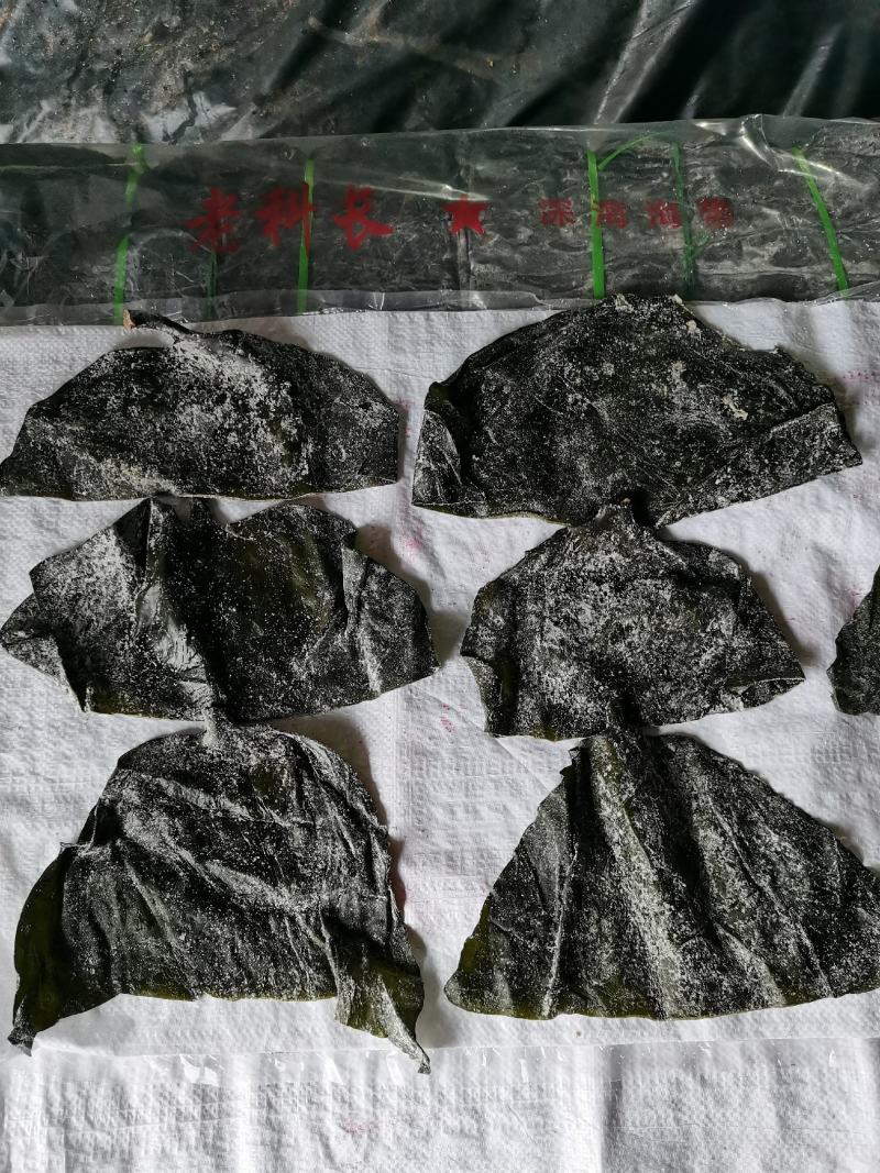 半干20公分海带头：实惠好吃肉感足，1：3泡发