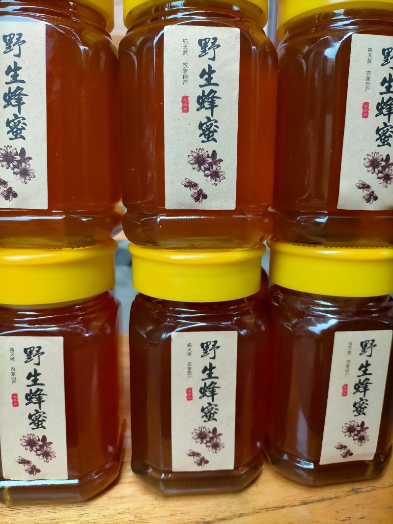 供应天然纯野生蜂蜜