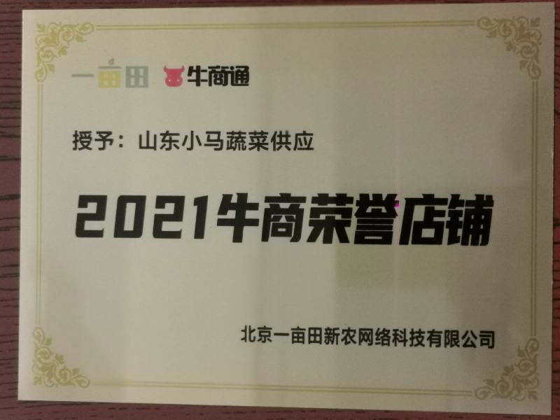 三青莴笋，红尖叶莴笋，莴笋杆子，供应全国市场支持线上交易