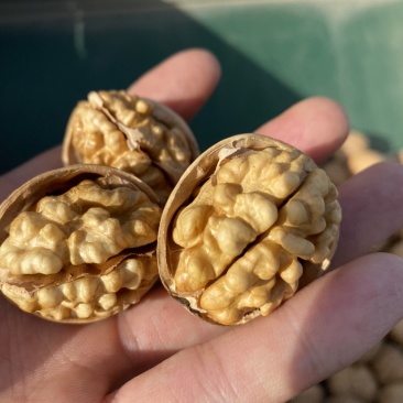 新疆阿克苏温苏185核桃原色纸皮核桃