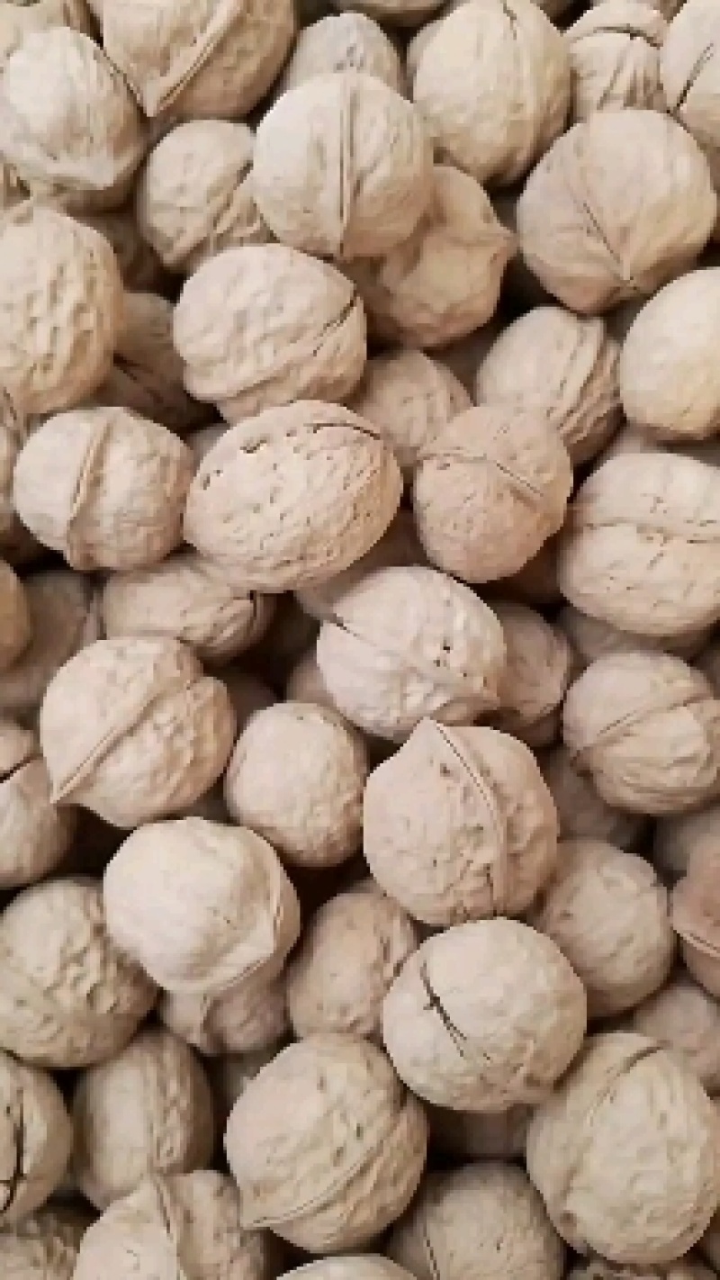 【精品】云南大姚薄皮核桃当年新货，103果