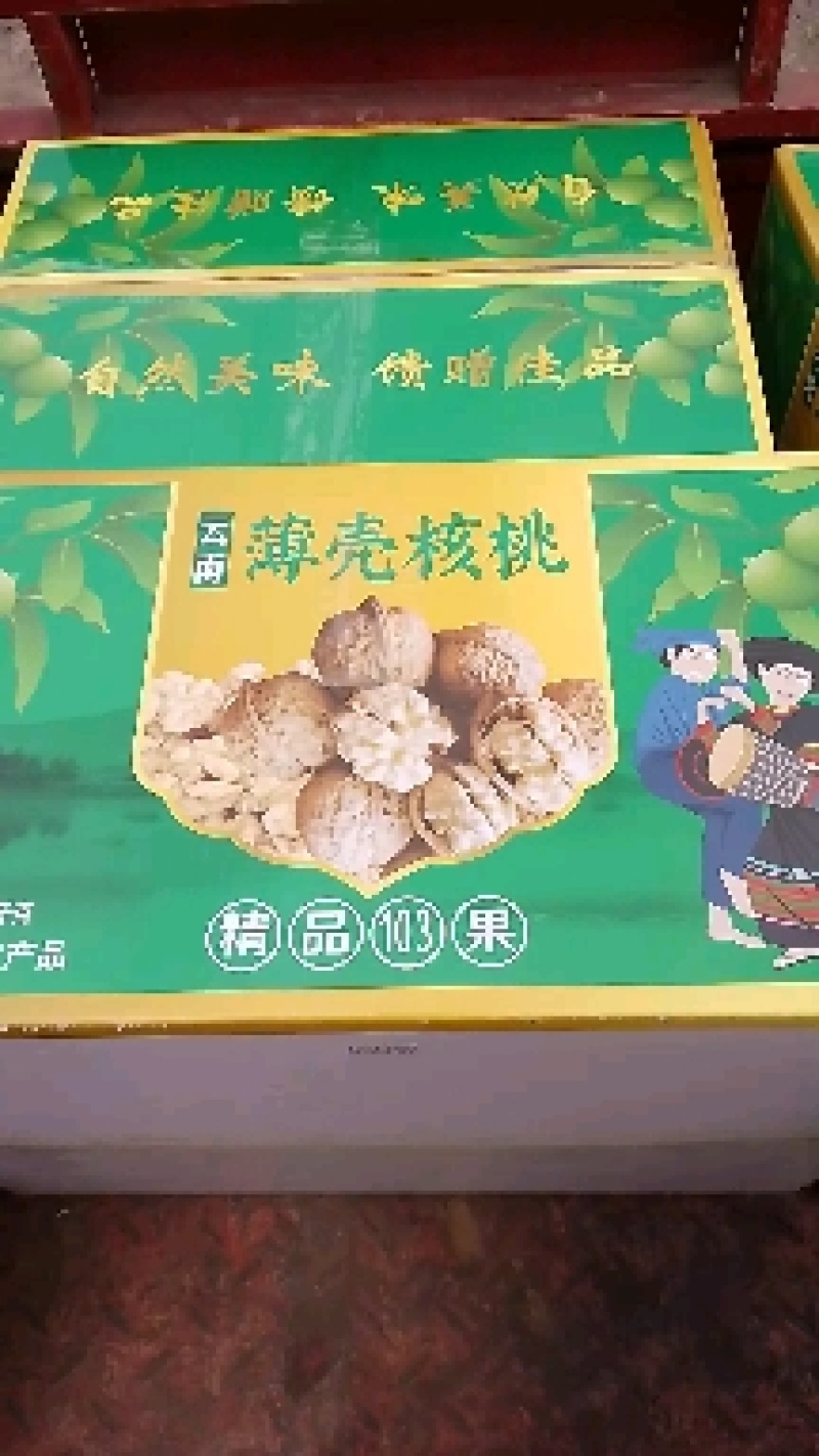 【精品】云南大姚薄皮核桃当年新货，103果