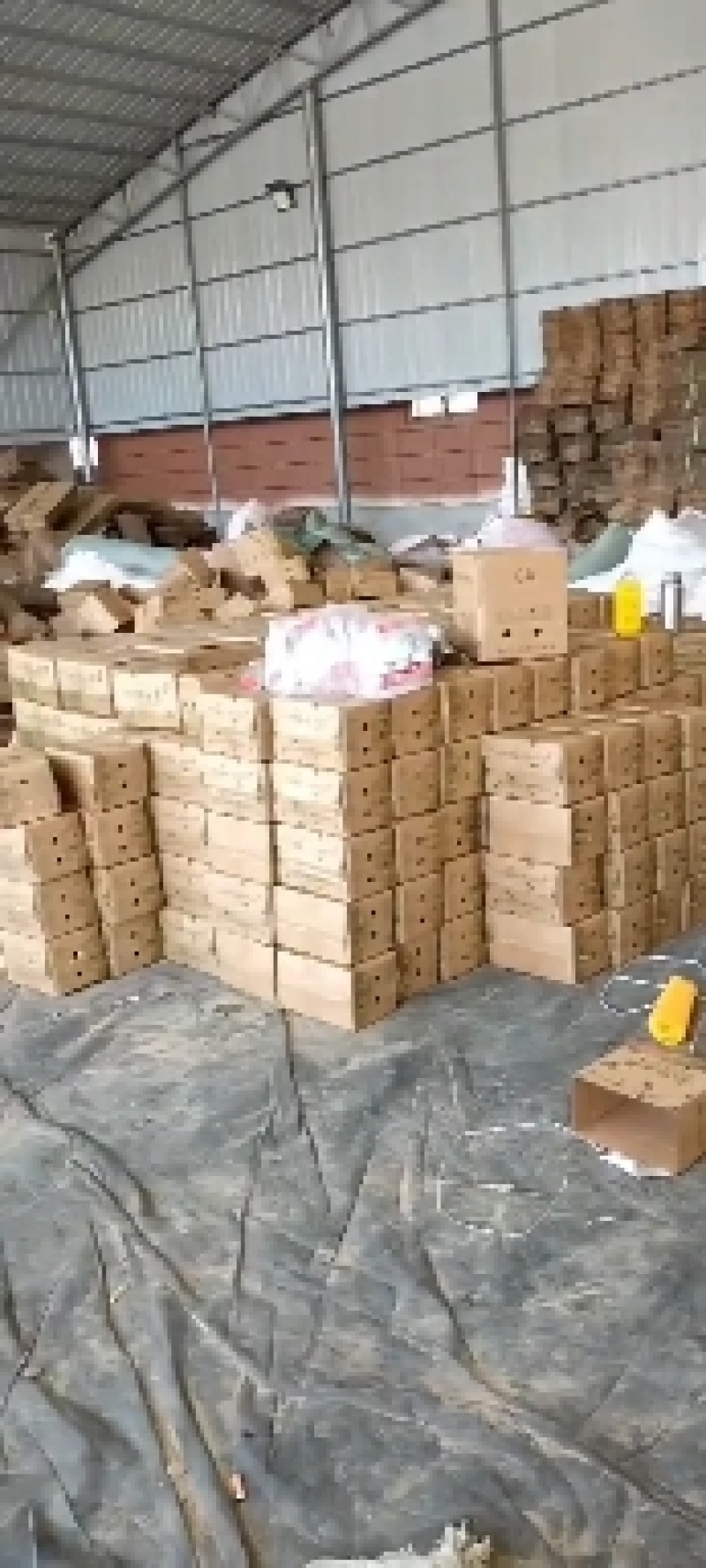 海南哈密瓜高品质一件代发，可发大瓜，产地直供，新鲜现摘。
