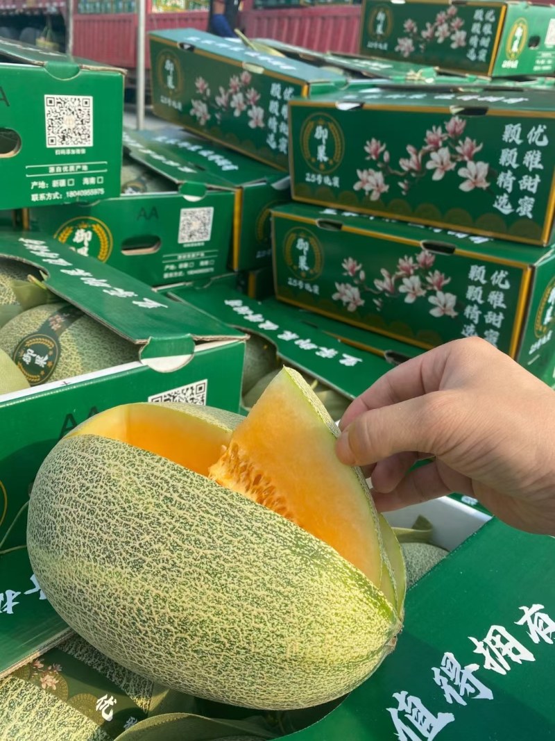 海南哈密瓜高品质一件代发，可发大瓜，产地直供，新鲜现摘。
