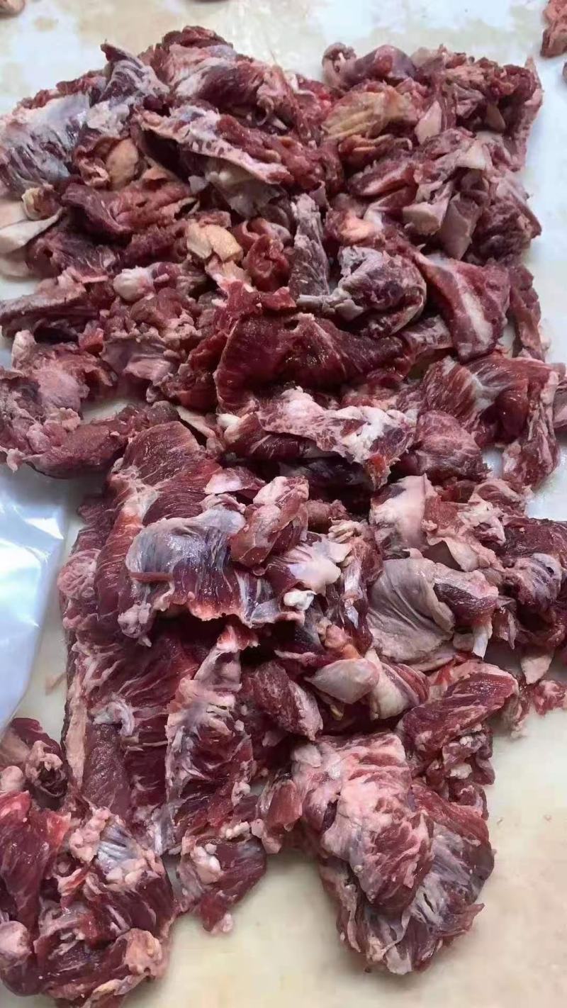 纯干牛碎肉肥瘦比例9/1每天出鲜货炒菜做馅均可使用