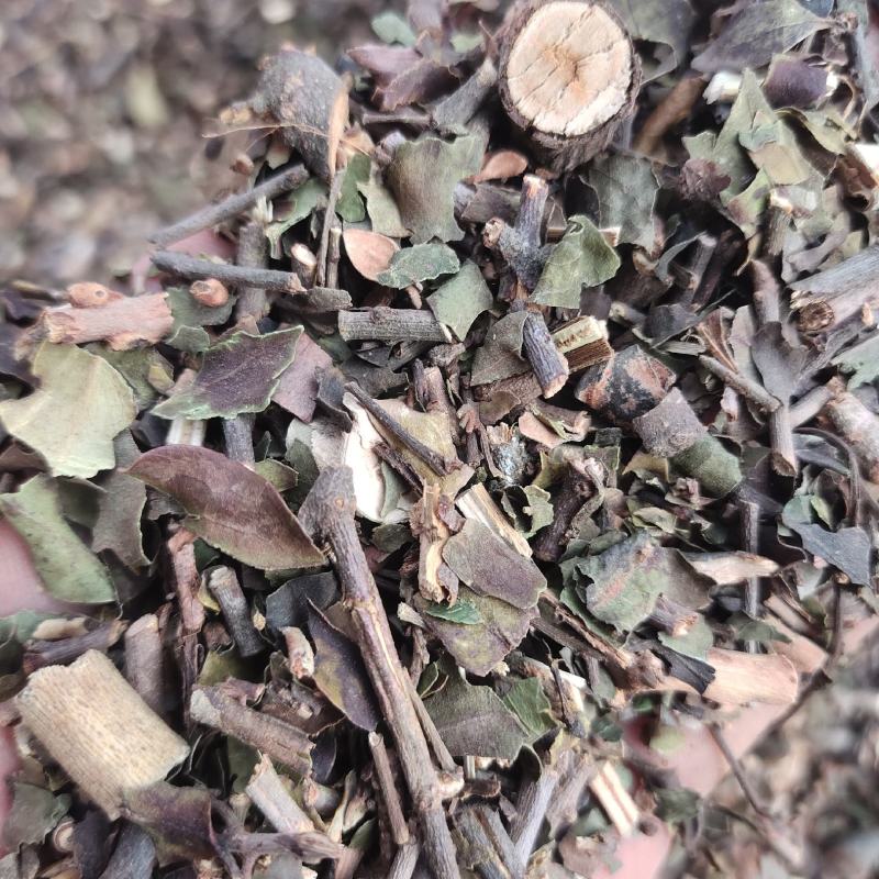 桑寄生新货颜色好大量现货关书药业