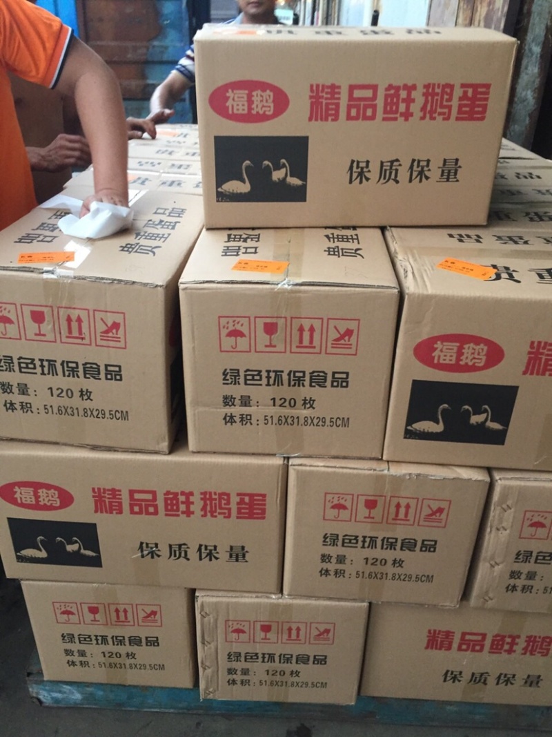 直销鲜鹅蛋批发狮头鹅蛋土鹅蛋