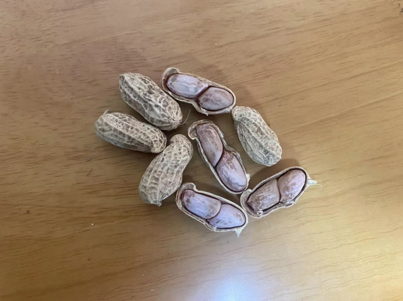 农家水煮晒干花生，老人小孩吃，不上火，好吃更健康
