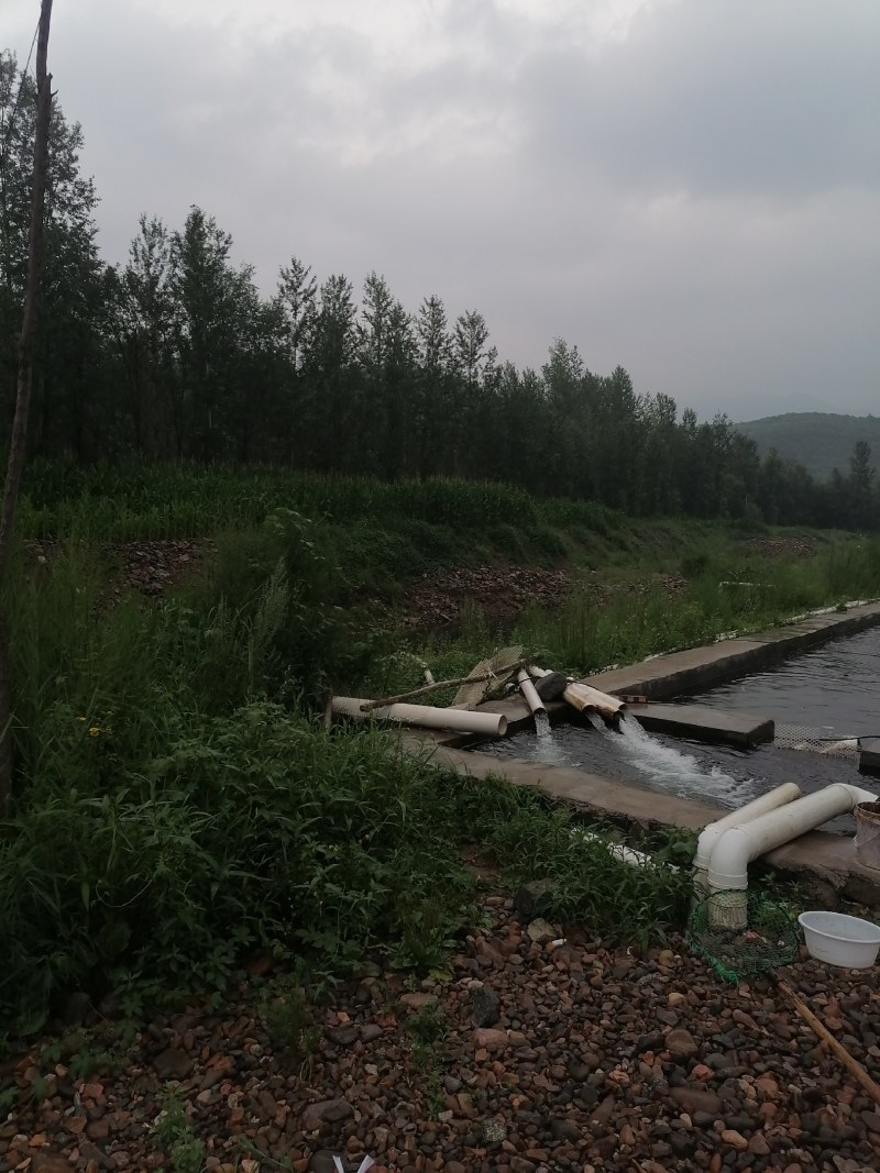 30亩水产养殖基地便宜出售，还有28年合同期