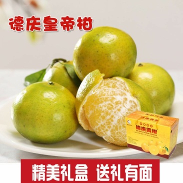 德庆贡柑，皇帝柑，十年以上老树果，果园直摘，量大供应
