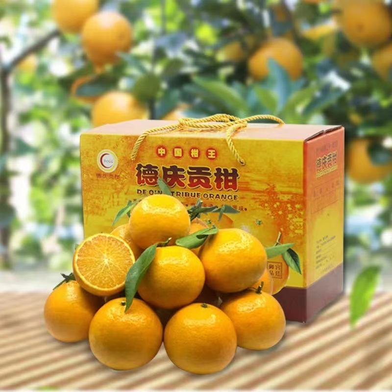 德庆贡柑，皇帝柑，十年以上老树果，果园直摘，量大供应