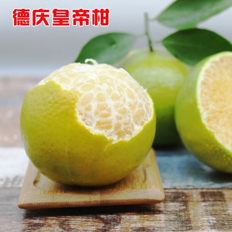 德庆贡柑，皇帝柑，十年以上老树果，果园直摘，量大供应