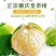 德庆贡柑，皇帝柑，十年以上老树果，果园直摘，量大供应