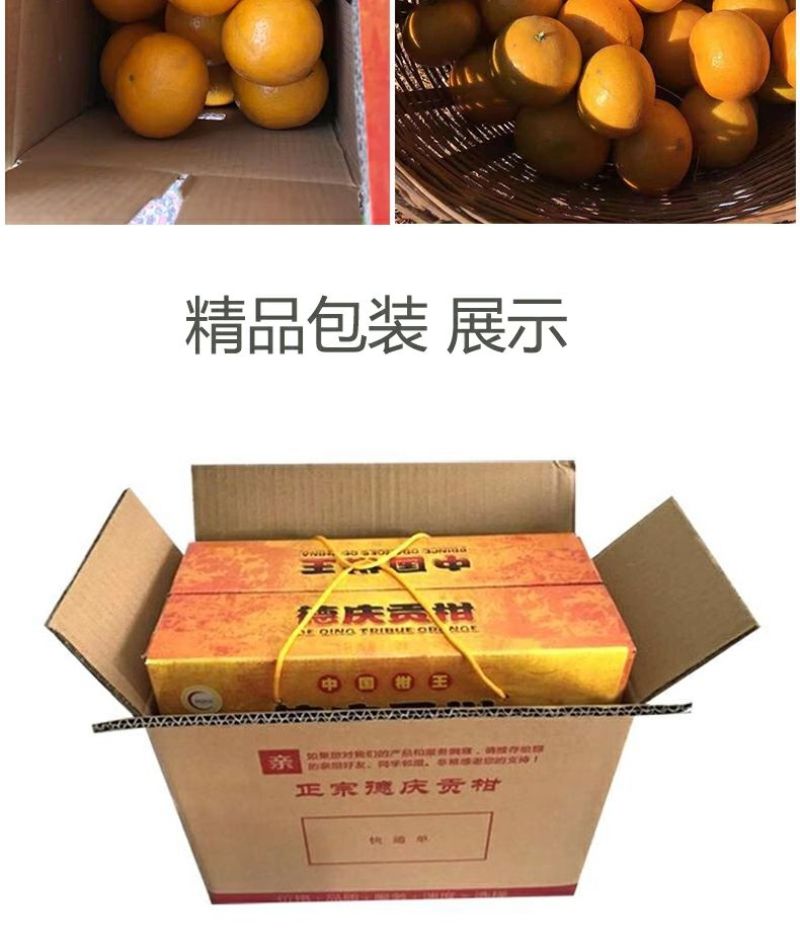德庆贡柑，皇帝柑，十年以上老树果，果园直摘，量大供应