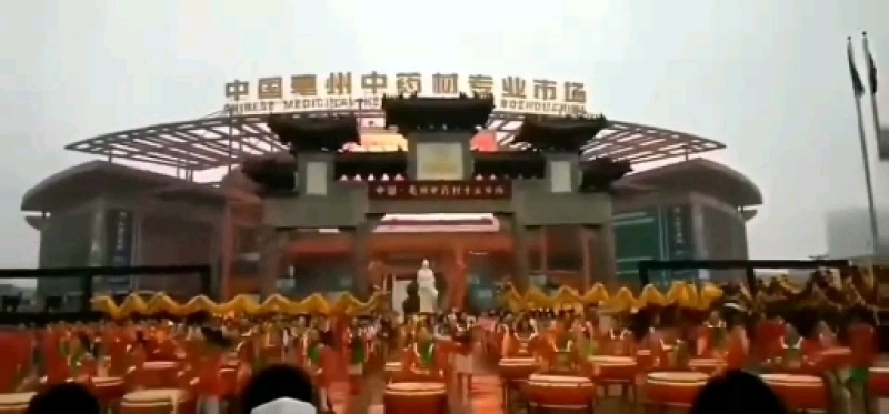 榧子浙江1公斤起批无硫无添加不包邮只做正品
