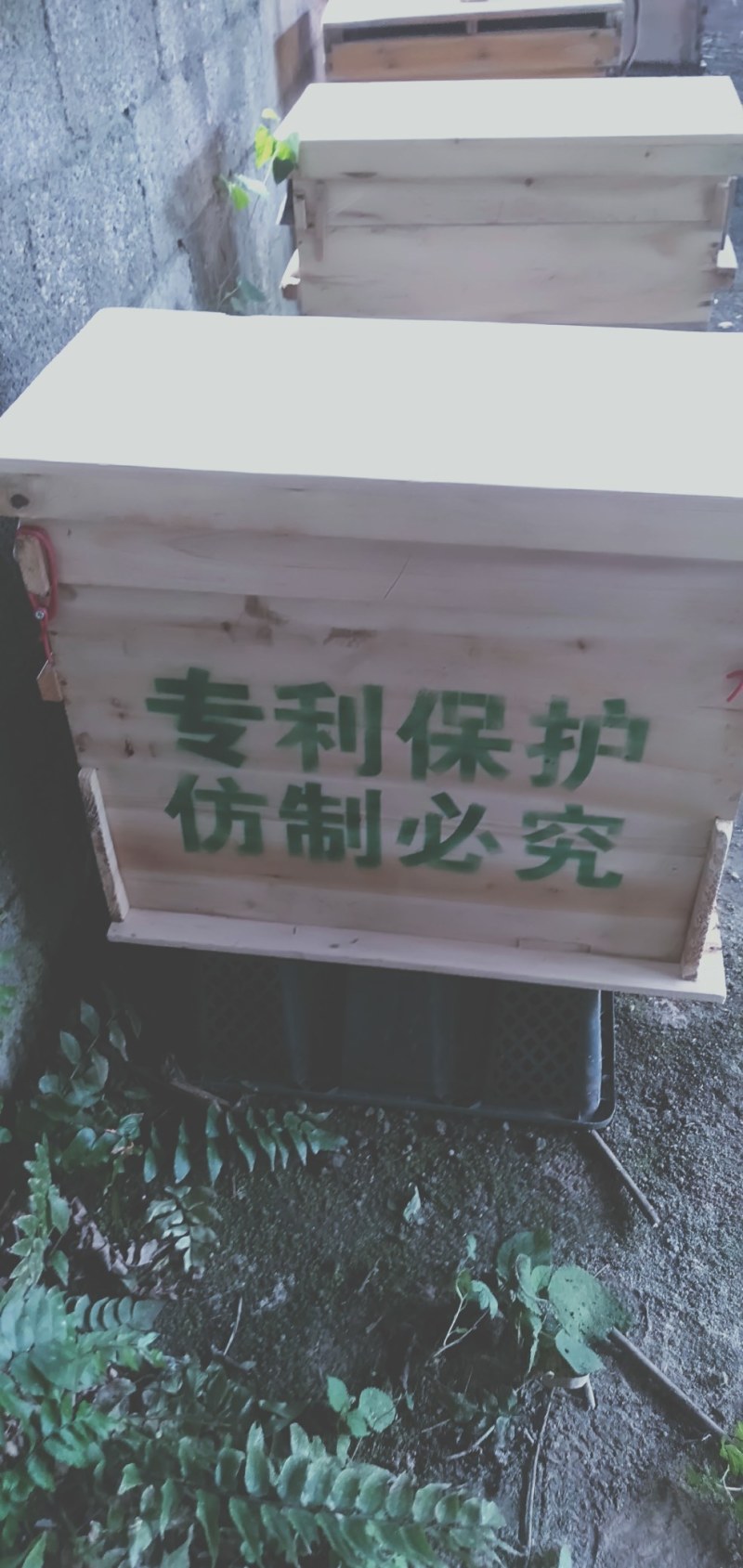 蜜蜂箱中蜂箱中蜂专用，四门五用比标准大三分之一，易保温好