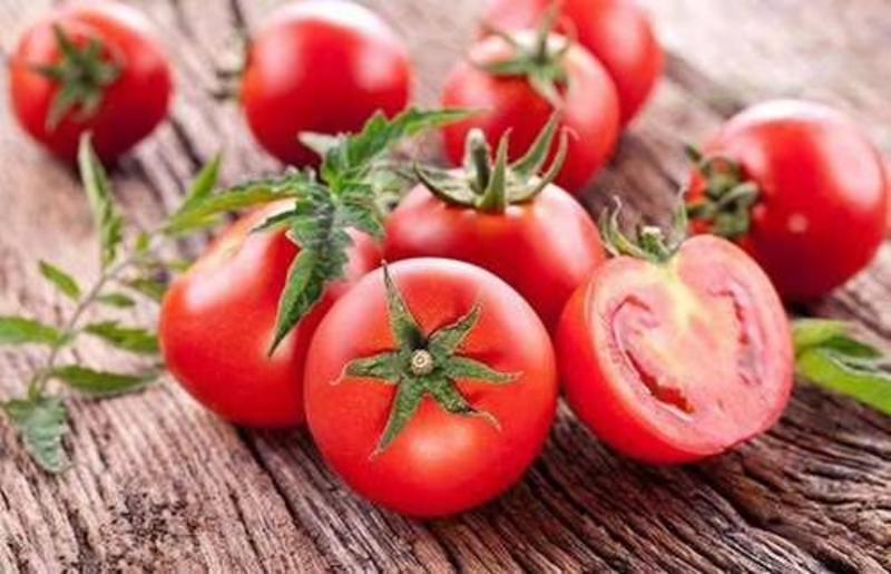 【西红柿】基地直供西红柿，无土栽培雄蜂授粉