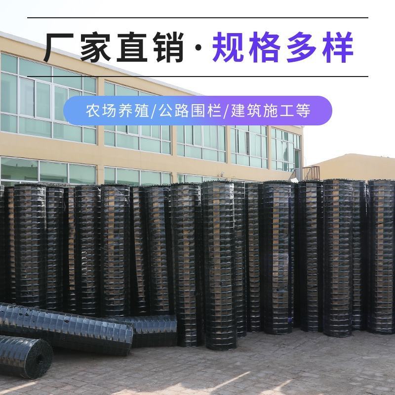 铁丝网围栏养鸡网钢丝养殖网隔离铁网栅栏护栏防护网硬塑荷兰