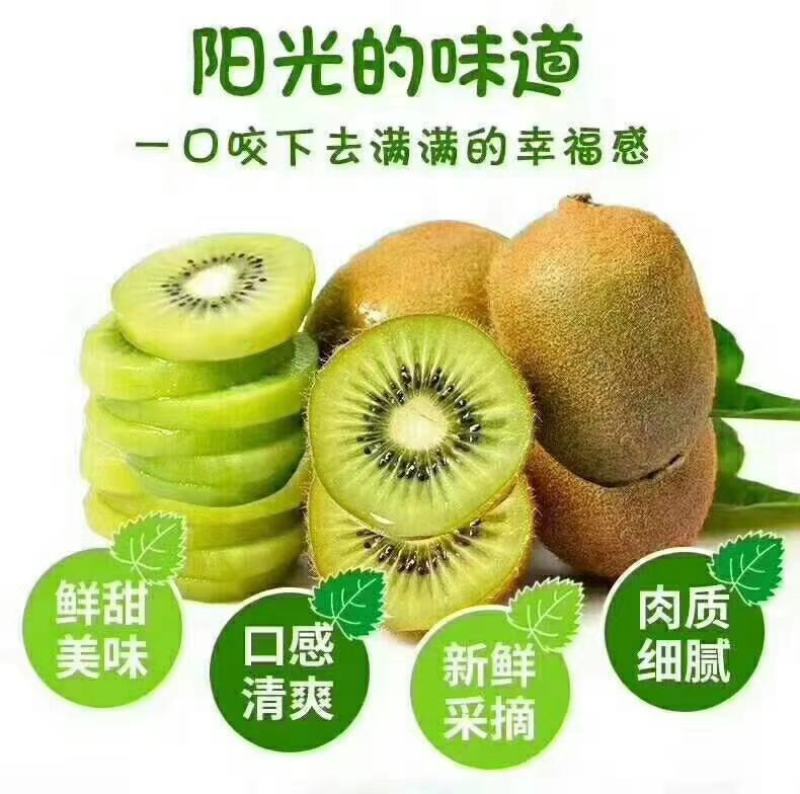 眉县徐香猕猴桃，产地发货，一件代发，欢迎进店联系
