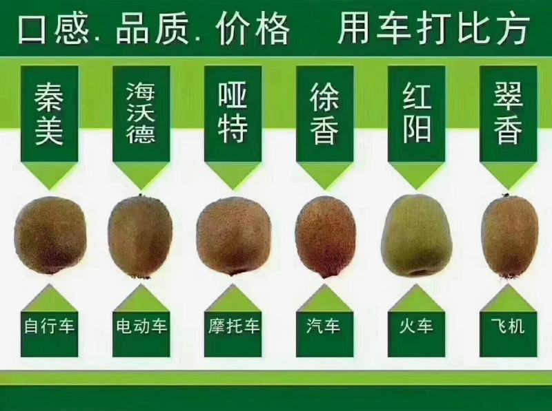 眉县徐香猕猴桃，产地发货，一件代发，欢迎进店联系