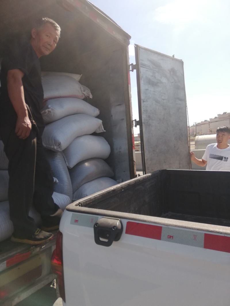 胡麻产区来自固阳乌盟太仆侍旗大量有货长期供应量大从优