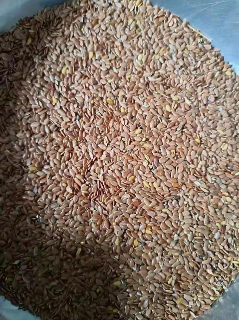 胡麻产区来自固阳乌盟太仆侍旗大量有货长期供应量大从优