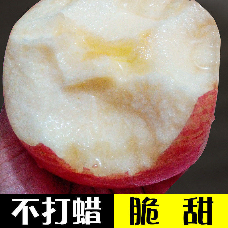 【推荐】山东苹果河南苹果价格正宗红富士苹果产地直销
