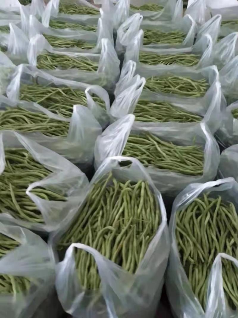 无筋豆基地一手货源大量优超市电商市场.全国发货