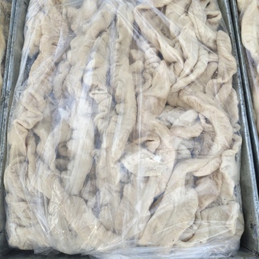 精品大肠