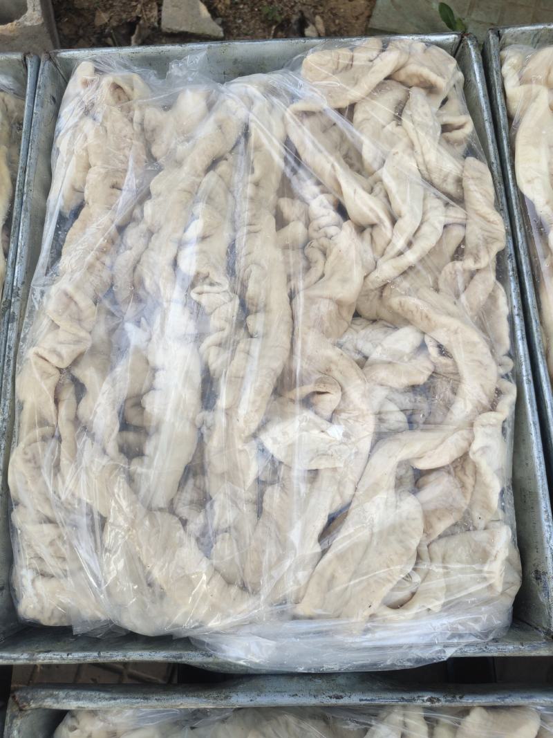 精品大肠