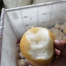 莱阳丰水梨，规格8量以上，口感脆甜，全国发货。