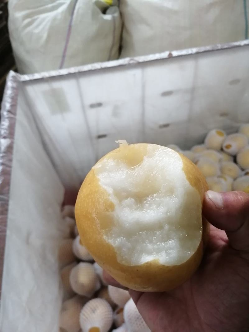 莱阳丰水梨，规格8量以上，口感脆甜，全国发货。