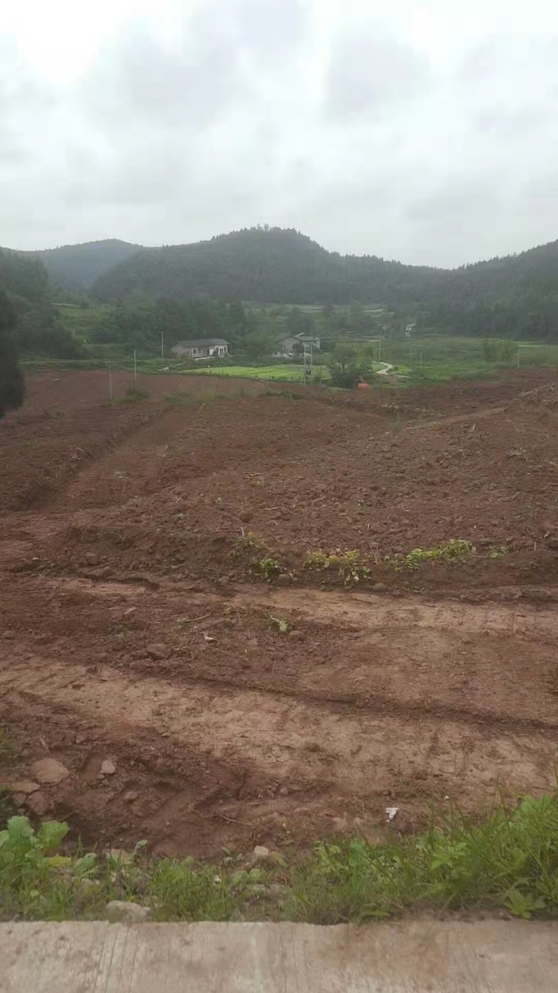 仁寿县土地流转，水电路方便，可根据需要整改