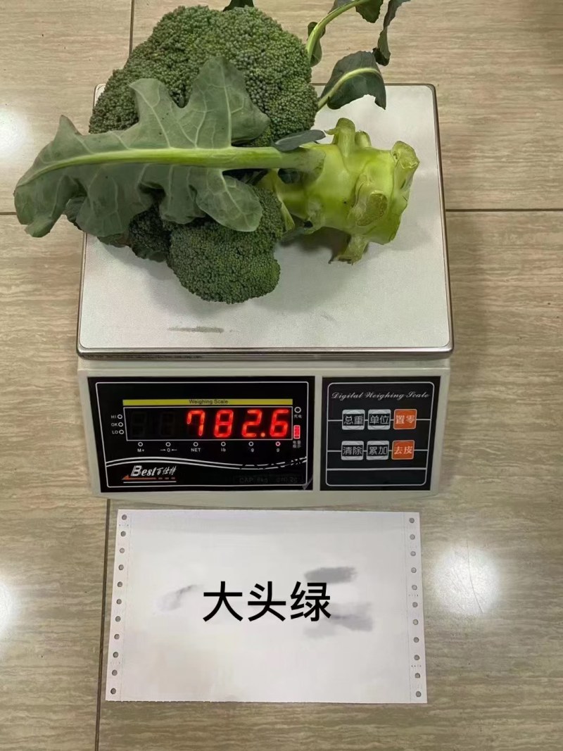 西兰花种籽春秋季花椰菜蔬菜种孑有机优质绿菜花四季耐寒青花