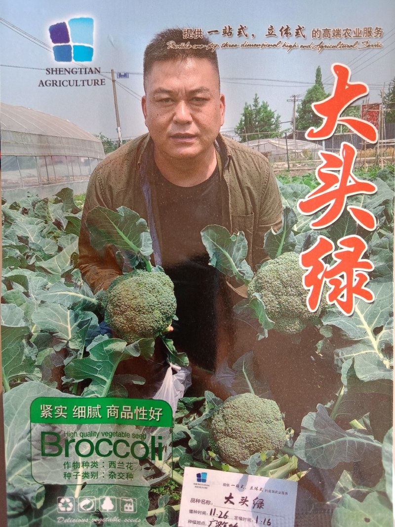 西兰花种籽春秋季花椰菜蔬菜种孑有机优质绿菜花四季耐寒青花
