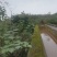 仁寿县水浇地流转，水电通，交通运输方便，可根据需求整改