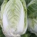大白菜宁夏大白菜宁夏银川大白菜量大从优质量保证