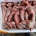 清真新鲜兔肉