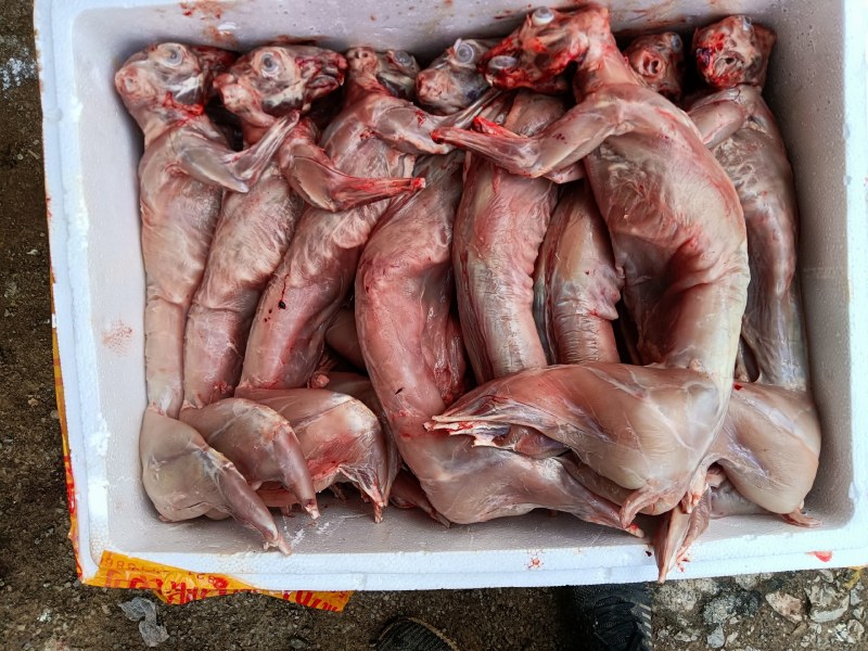 清真新鲜兔肉