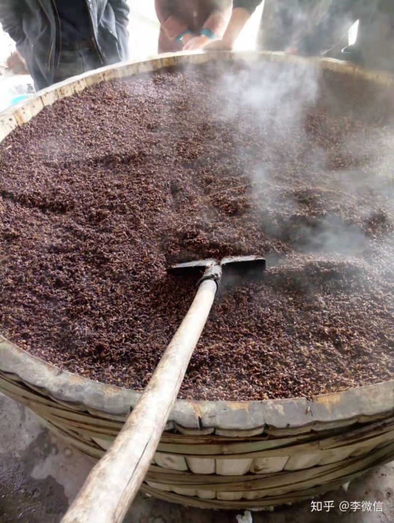 酱香高粱酒糟