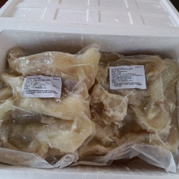 【热卖】熟牛蹄筋，冷鲜牛蹄筋，火锅店食材，