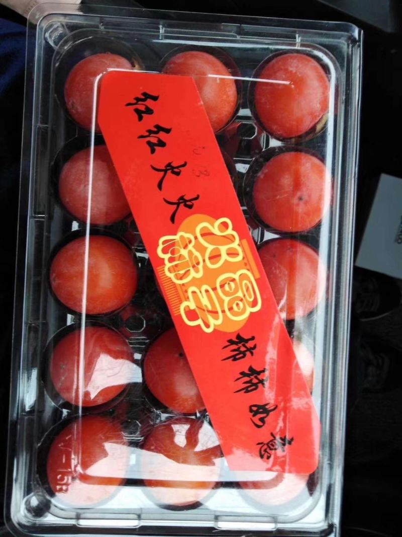 永济万亩吊红柿子，珠柿大量上市，产地一手货源！