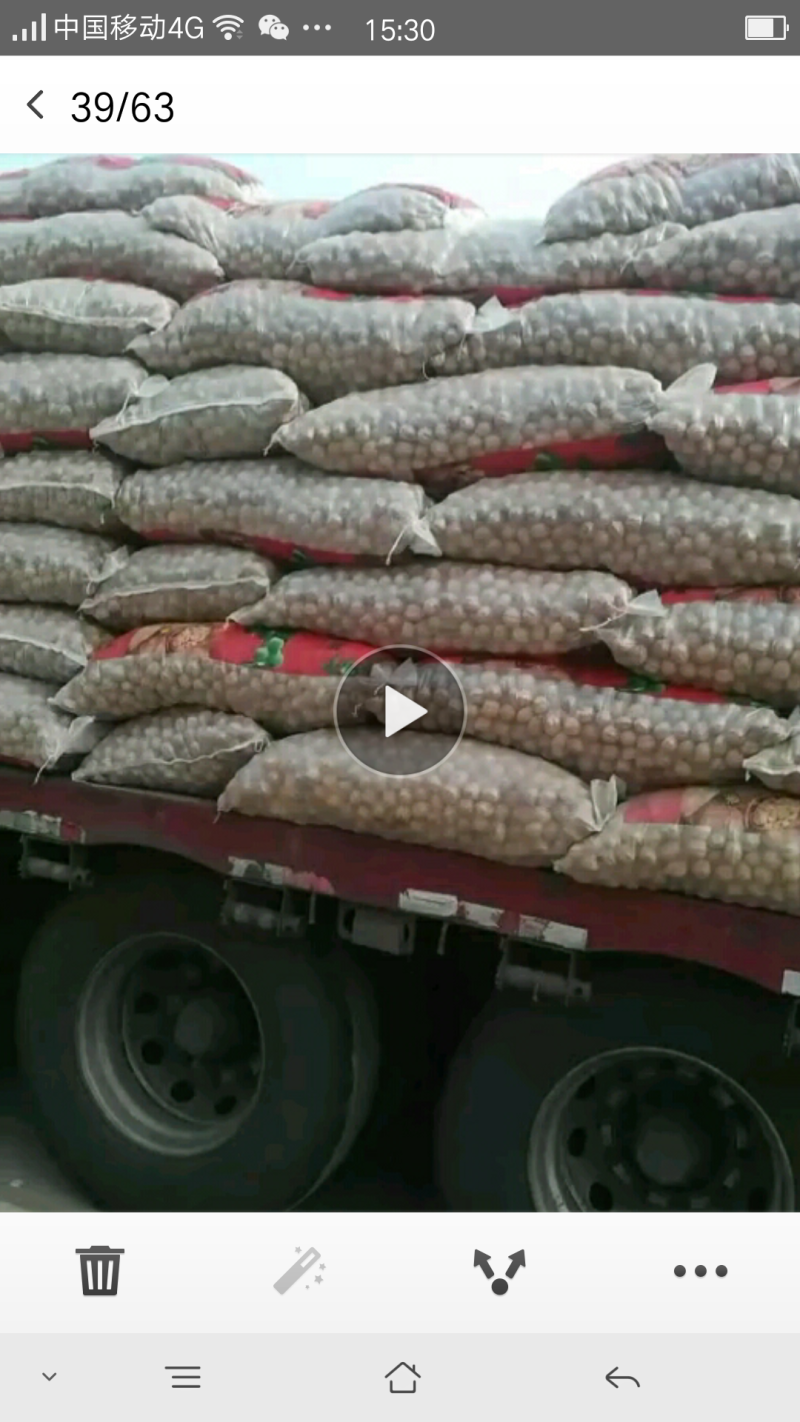 185核桃