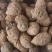 莪术(包邮)，3斤起批，零售量大从优，