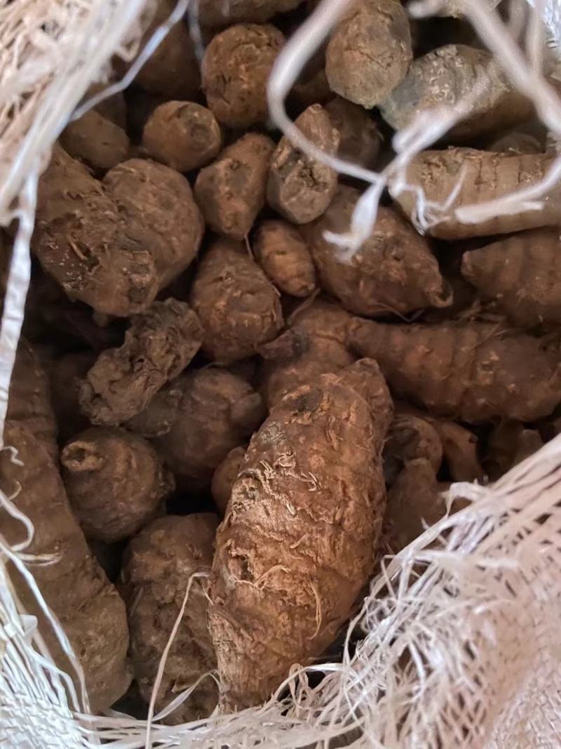 莪术(包邮)，3斤起批，零售量大从优，