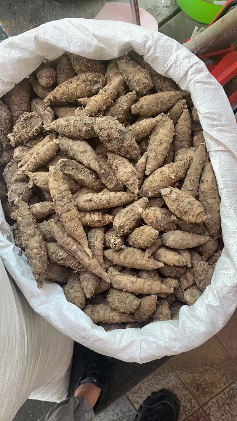 莪术(包邮)，3斤起批，零售量大从优，